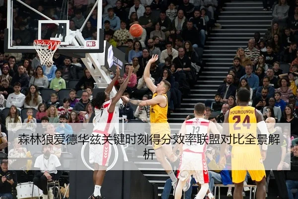 森林狼爱德华兹关键时刻得分效率联盟对比全景解析