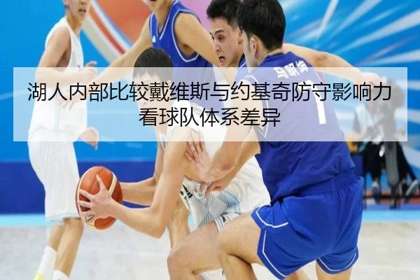 湖人内部比较戴维斯与约基奇防守影响力看球队体系差异